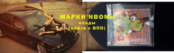 прущие грибы Баксан