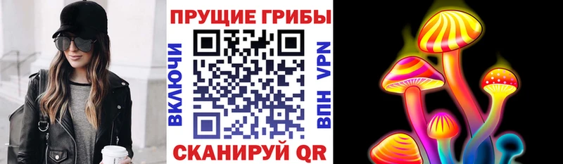 Галлюциногенные грибы Cubensis  Спасск-Рязанский 